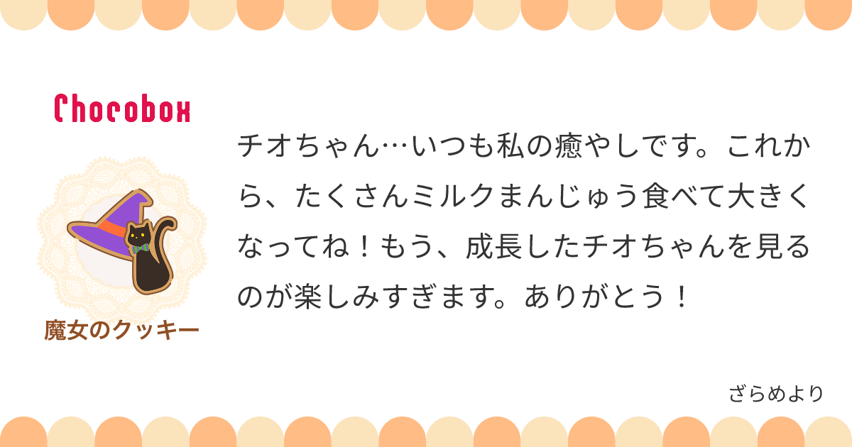 チョコレートメッセージカード