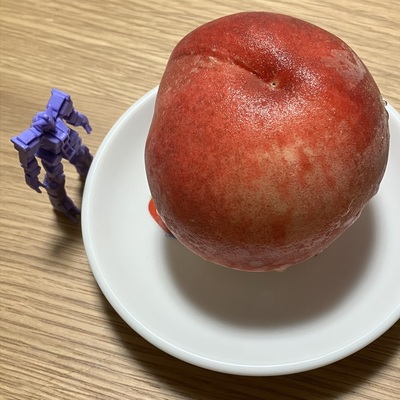 CCCさんのギャラリー画像